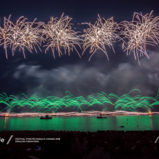 Dragon Fireworks - Festival Pyrotechnique Cannes (11)