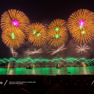 Dragon Fireworks - Festival Pyrotechnique Cannes (12)