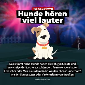 Hunde hören lauter als Menschen